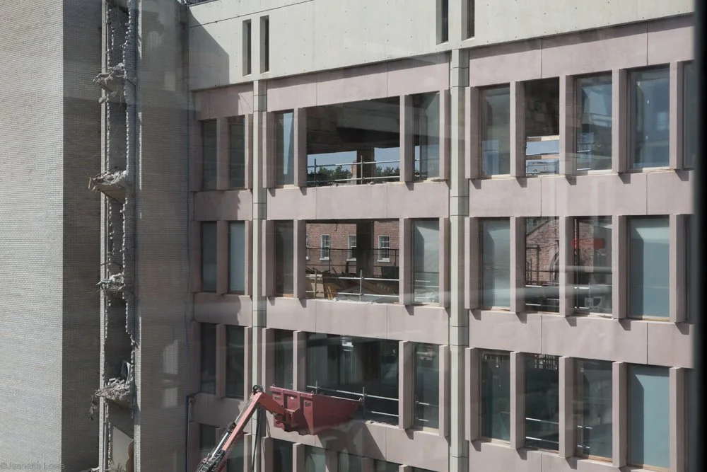 Jeanette Lowe ESB Fitzwilliam Project-5681.jpg