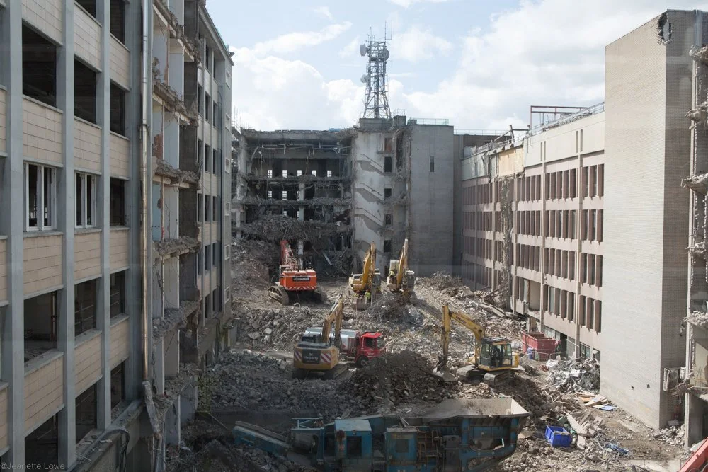 Jeanette Lowe ESB Fitzwilliam Project-5677.jpg