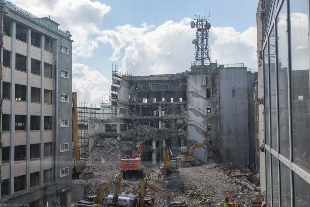 Jeanette Lowe ESB Fitzwilliam Project-5663.jpg