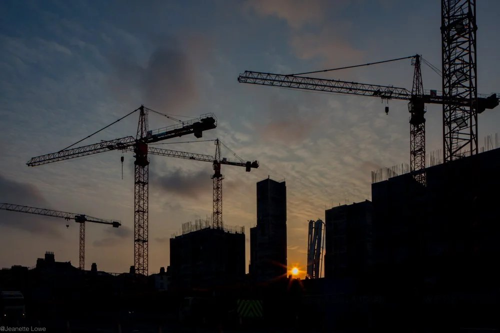 Jeanette Lowe ESB Fitzwilliam Project-8892.jpg