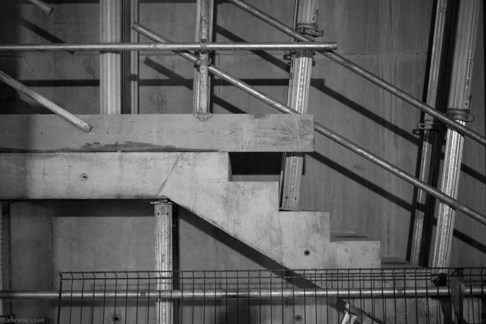 Jeanette Lowe ESB Fitzwilliam Project--17.jpg