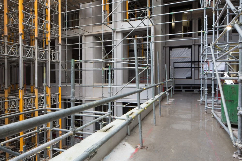 Jeanette Lowe ESB Fitzwilliam Project-0210.jpg