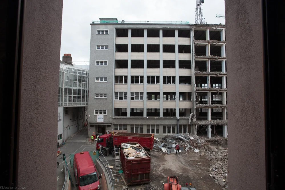 Jeanette Lowe ESB Fitzwilliam Project-5439.jpg