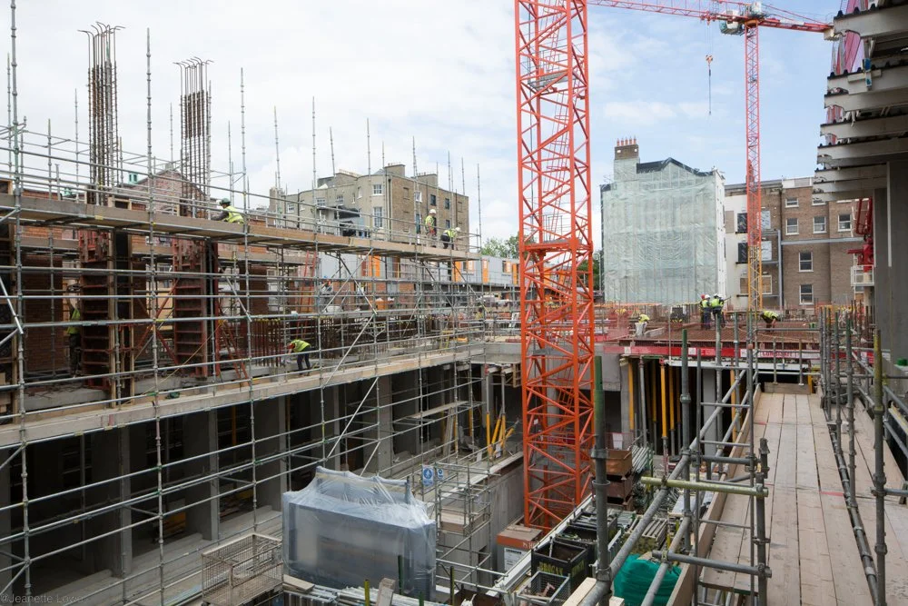 Jeanette Lowe ESB Fitzwilliam Project-0274.jpg