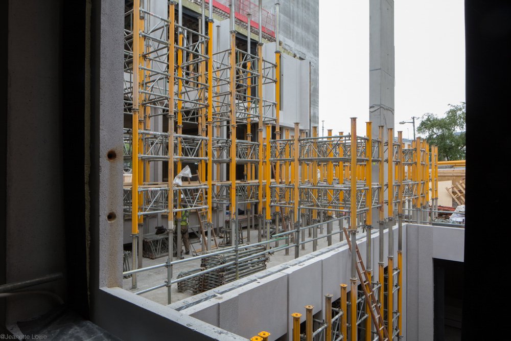 Jeanette Lowe ESB Fitzwilliam Project-8919.jpg