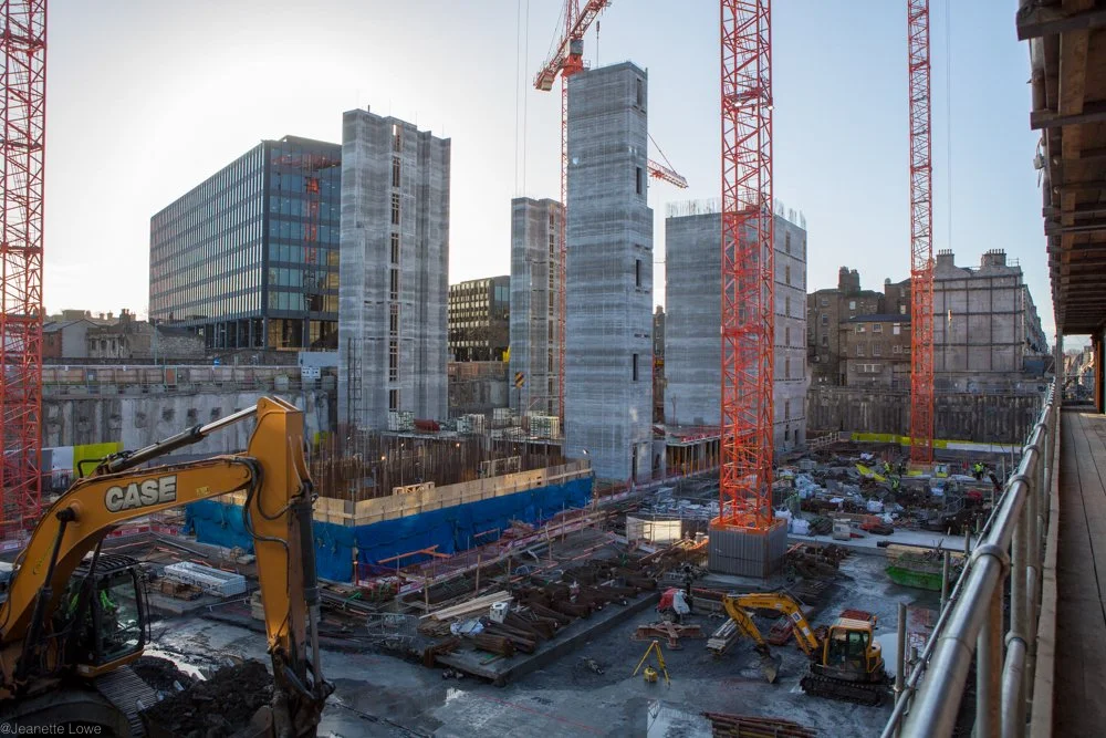 Jeanette Lowe ESB Fitzwilliam Project-0001.jpg