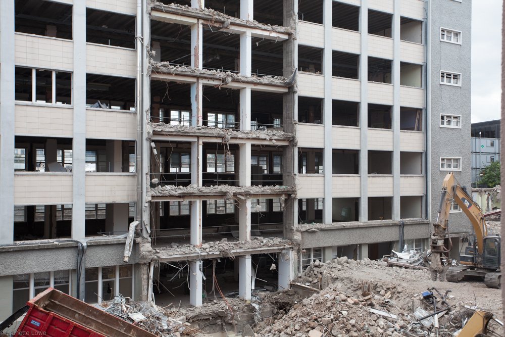 Jeanette Lowe ESB Fitzwilliam Project-5445.jpg