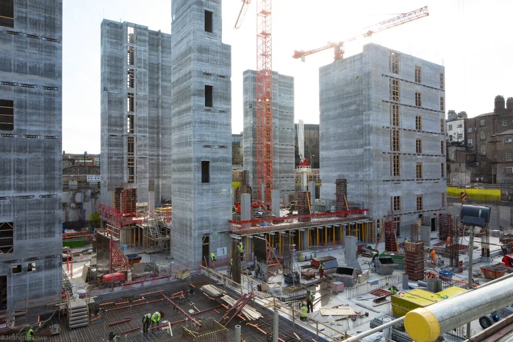 Jeanette Lowe ESB Fitzwilliam Project-7831.jpg