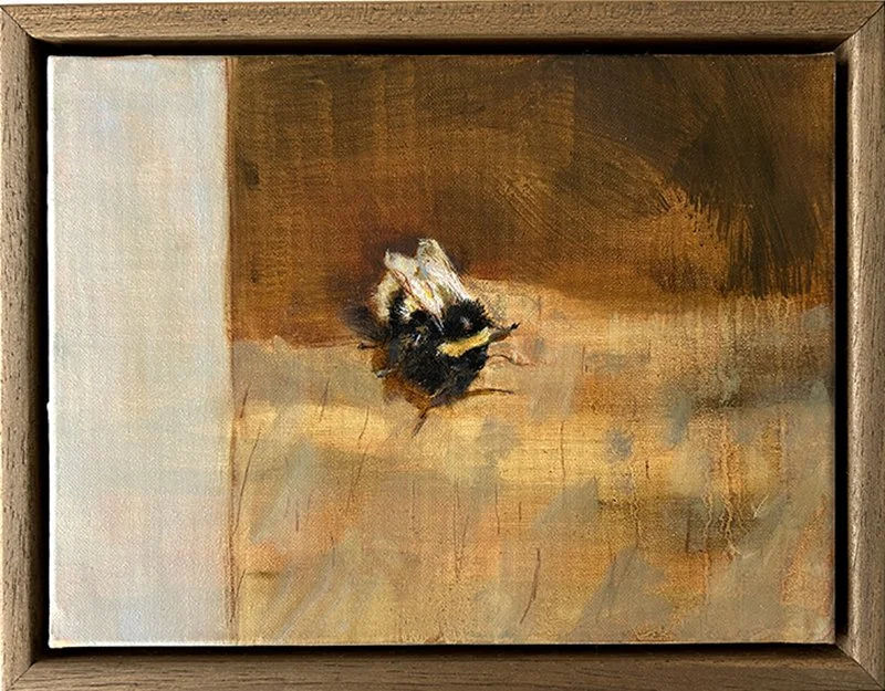 Beatrice O'Connell - Bombus Lucorum Queen Oil on Canvas (18x24cm) €500