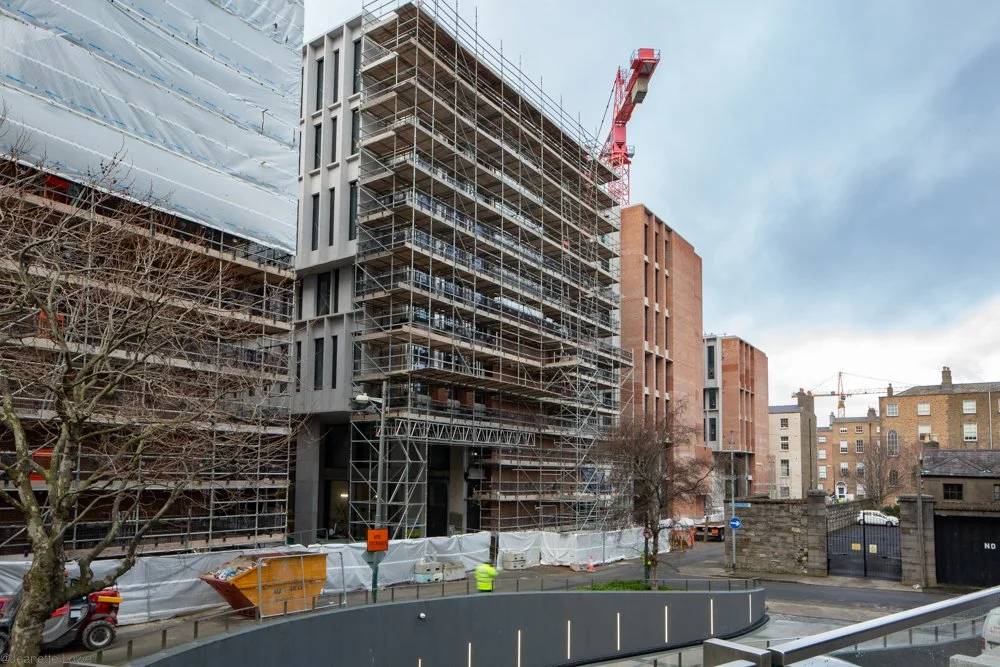 Jeanette Lowe ESB Fitzwilliam Project-0479.jpg