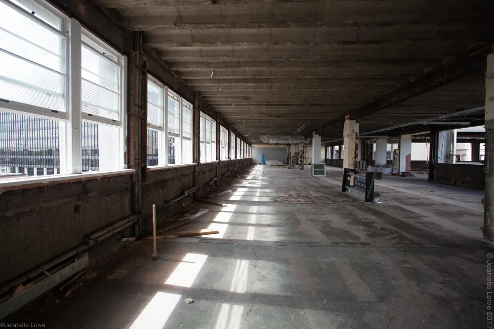 Jeanette Lowe ESB Fitzwilliam Project-2795.jpg