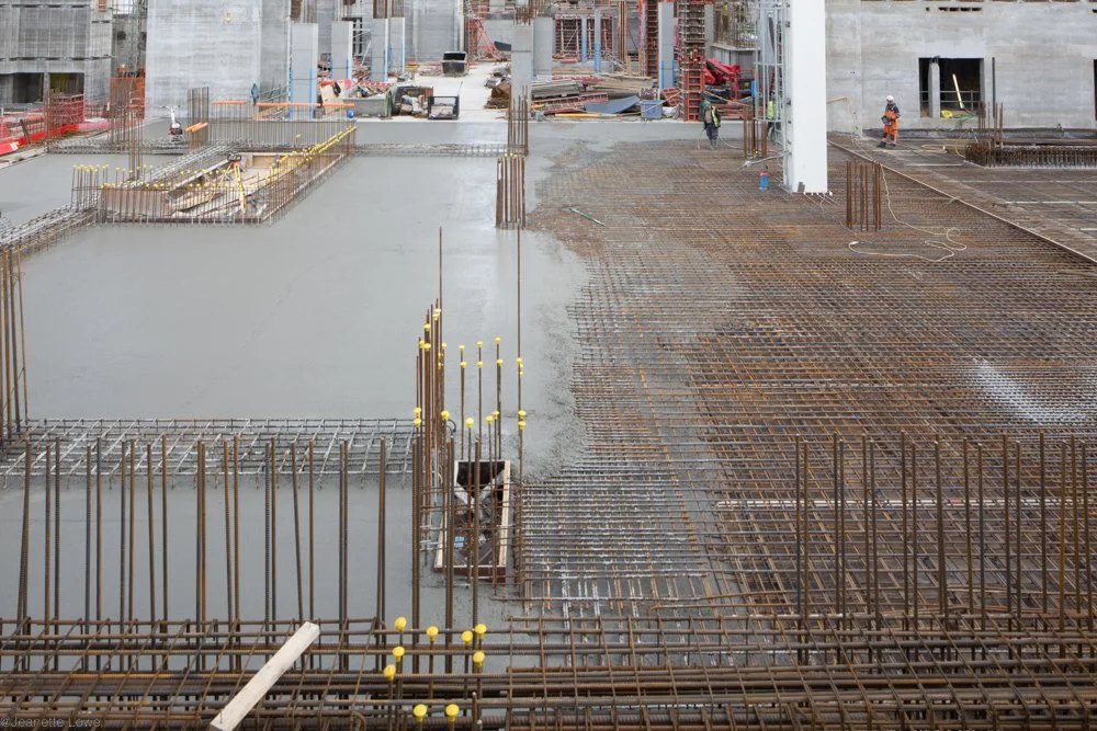 Jeanette Lowe ESB Fitzwilliam Project-7959.jpg