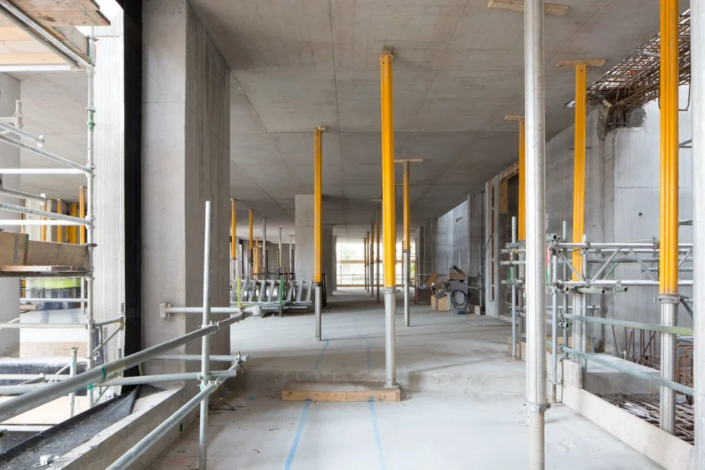 Jeanette Lowe ESB Fitzwilliam Project-8907.jpg