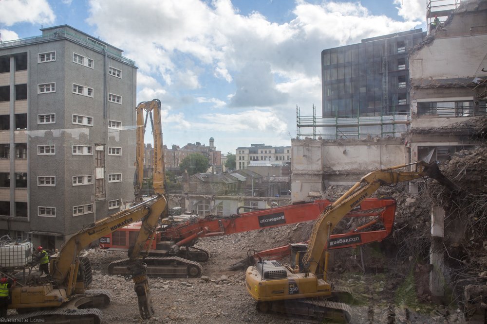 Jeanette Lowe ESB Fitzwilliam Project-5592.jpg