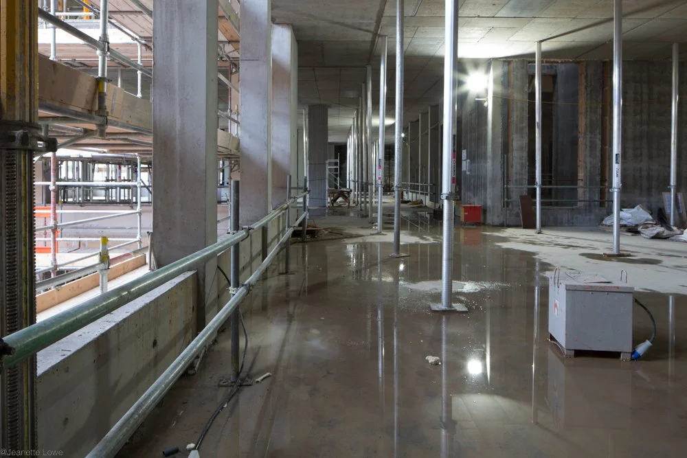 Jeanette Lowe ESB Fitzwilliam Project-0038-2.jpg