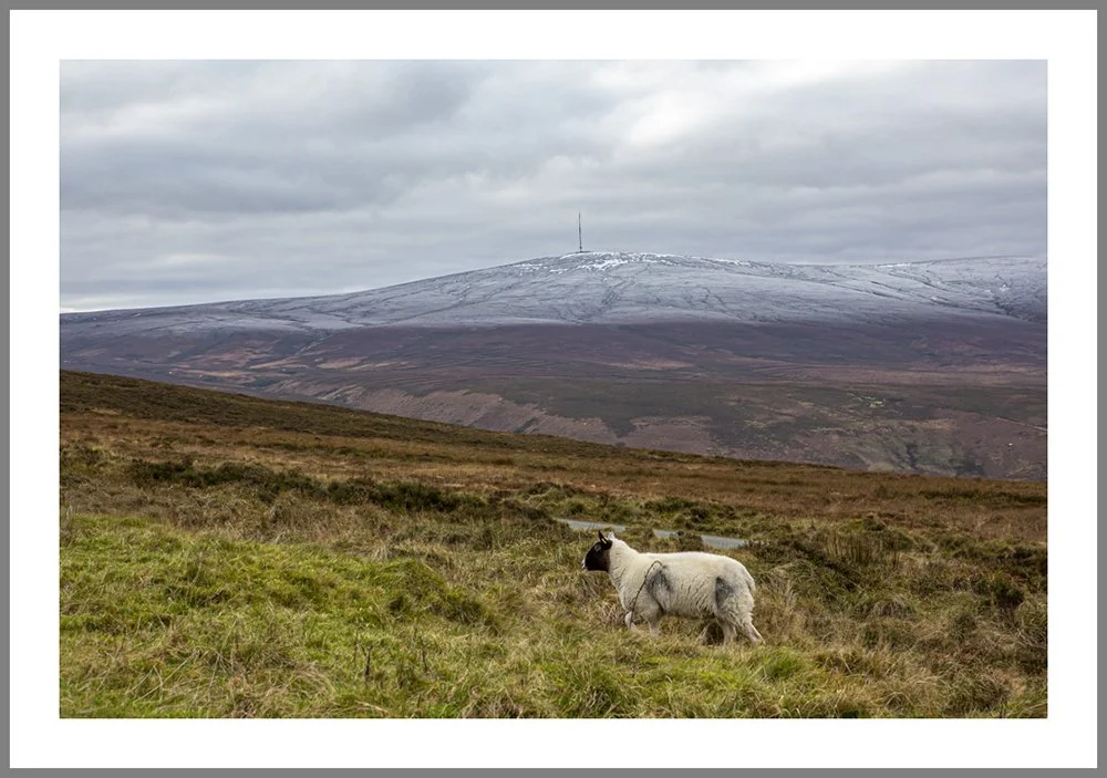 Dublin Mountains 9829 frame.jpg