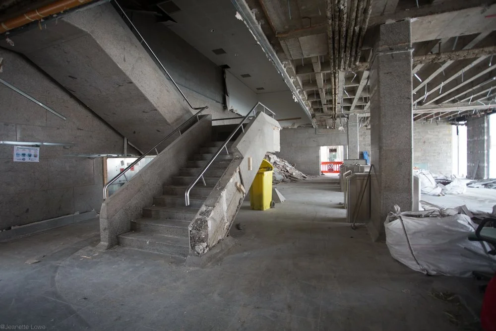 Jeanette Lowe ESB Fitzwilliam Project-7671.jpg