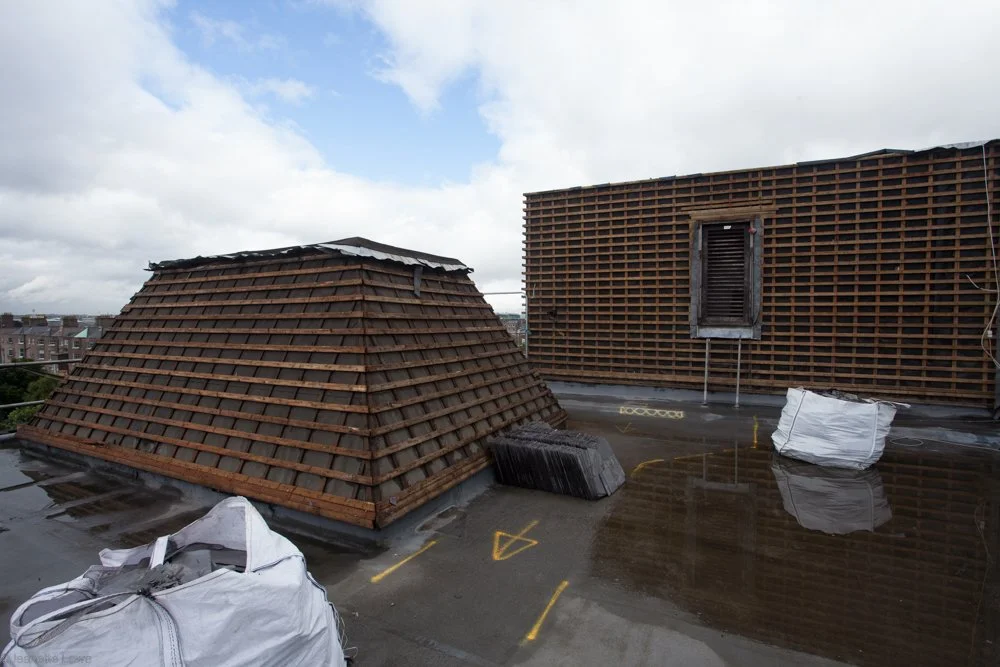 Jeanette Lowe ESB Fitzwilliam Project-4112.jpg