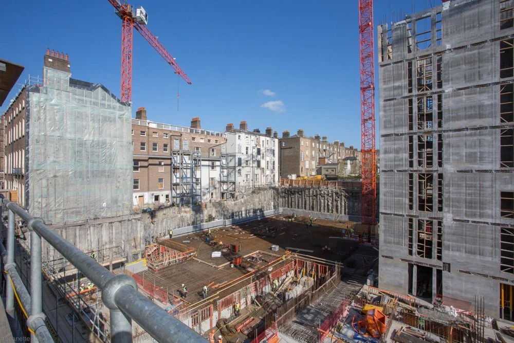 Jeanette Lowe ESB Fitzwilliam Project-8489.jpg