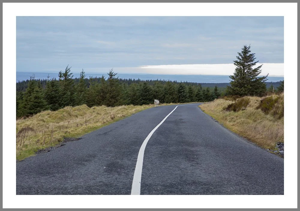 Dublin Mountains 7824 frame.jpg