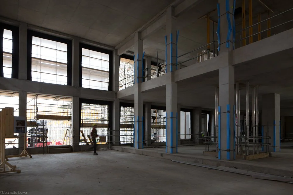 Jeanette Lowe ESB Fitzwilliam Project-9915.jpg
