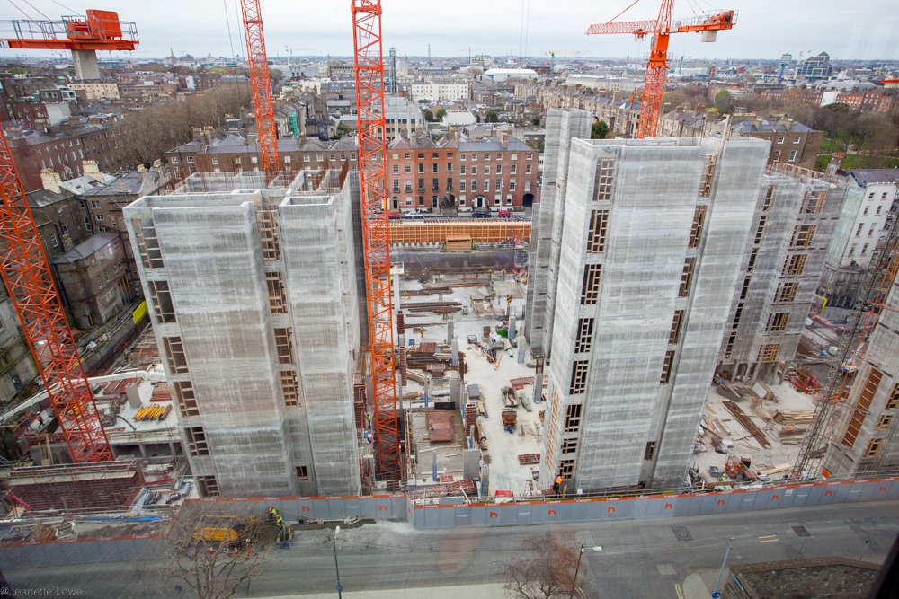 Jeanette Lowe ESB Fitzwilliam Project-7041.jpg