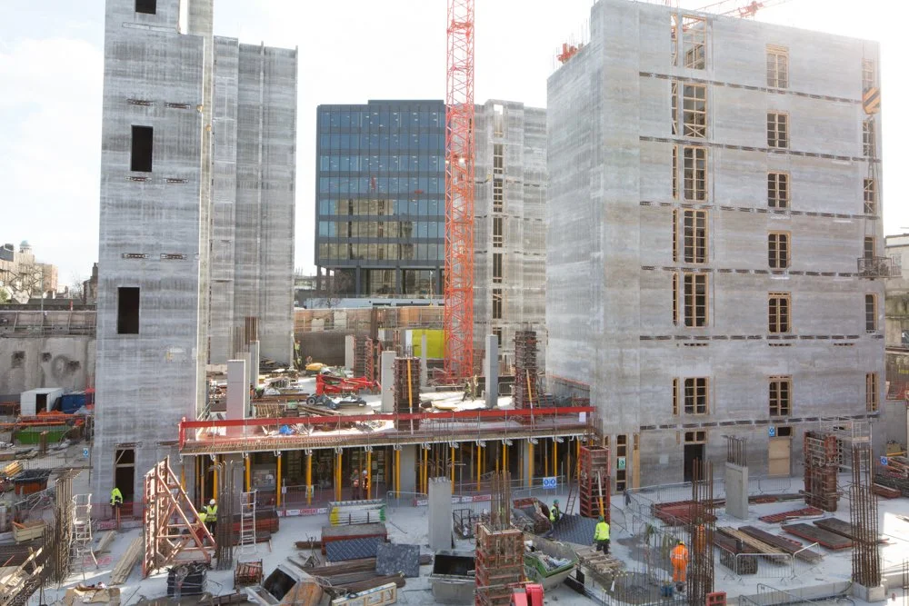 Jeanette Lowe ESB Fitzwilliam Project-7840.jpg