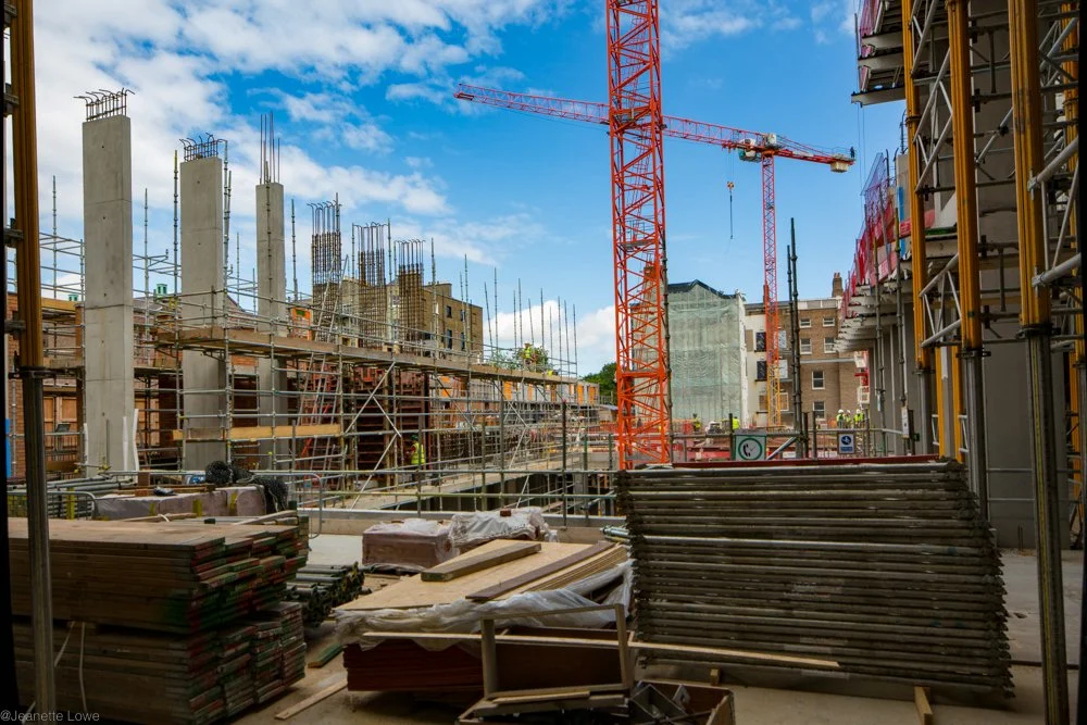 Jeanette Lowe ESB Fitzwilliam Project-0213.jpg