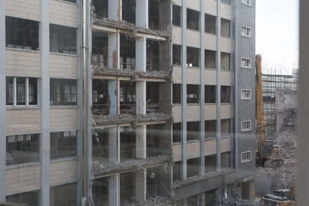 Jeanette Lowe ESB Fitzwilliam Project-5666.jpg