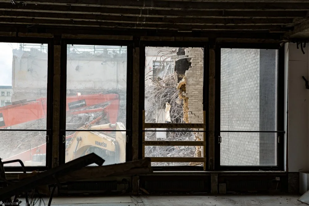 Jeanette Lowe ESB Fitzwilliam Project-5574.jpg