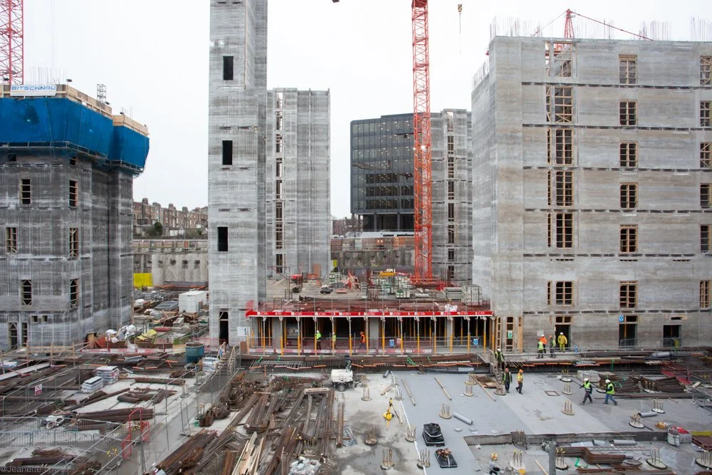 Jeanette Lowe ESB Fitzwilliam Project--15.jpg