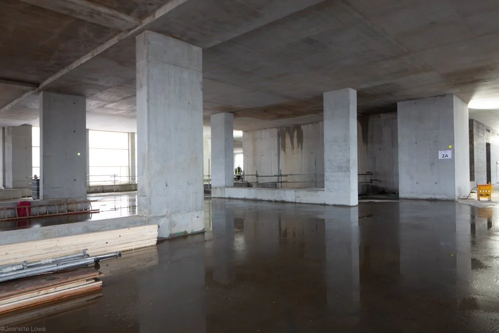 Jeanette Lowe ESB Fitzwilliam Project-2792.jpg