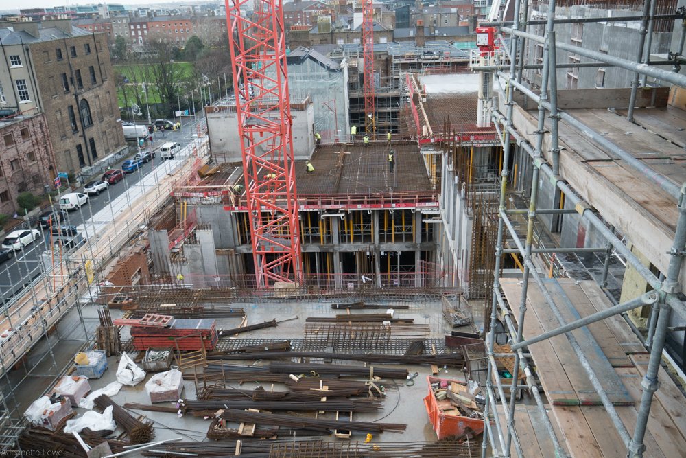 Jeanette Lowe ESB Fitzwilliam Project-1260714.jpg