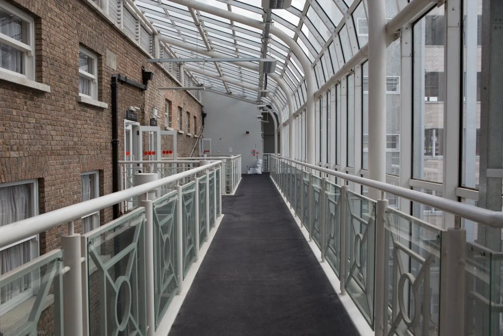 Jeanette Lowe ESB Fitzwilliam Project-5659.jpg