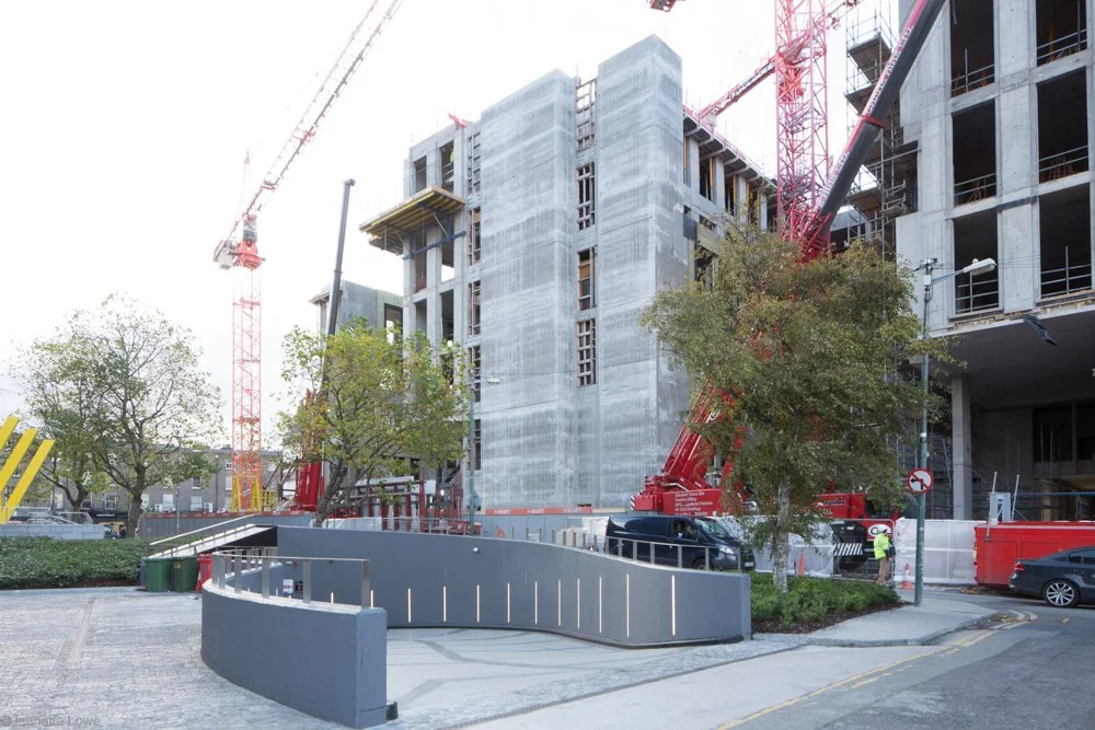 Jeanette Lowe ESB Fitzwilliam Project-0235.jpg