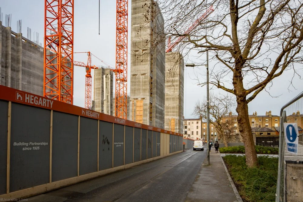 Jeanette Lowe ESB Fitzwilliam Project-1233.jpg