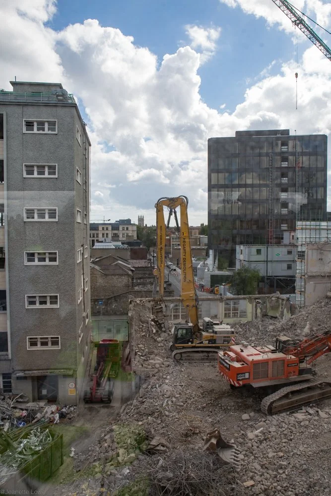 Jeanette Lowe ESB Fitzwilliam Project-5622.jpg