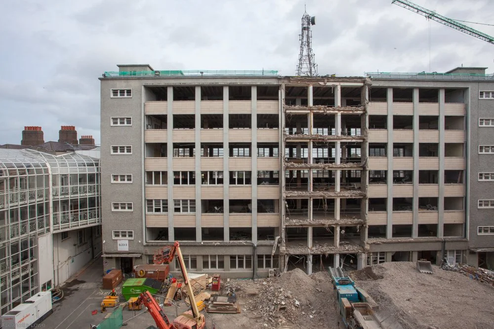 Jeanette Lowe ESB Fitzwilliam Project-5771.jpg