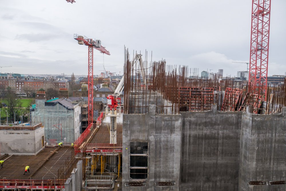Jeanette Lowe ESB Fitzwilliam Project-1260713.jpg