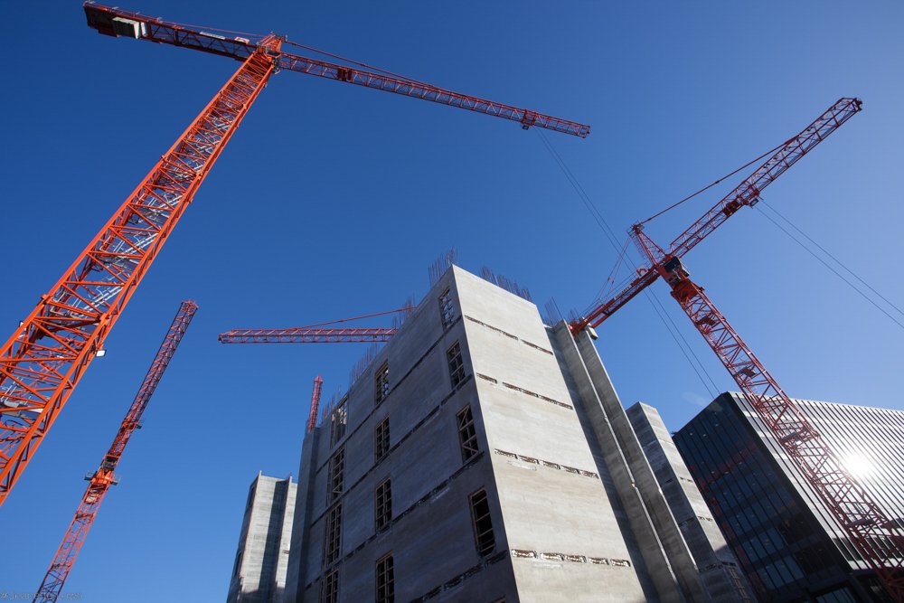 Jeanette Lowe ESB Fitzwilliam Project-6956.jpg