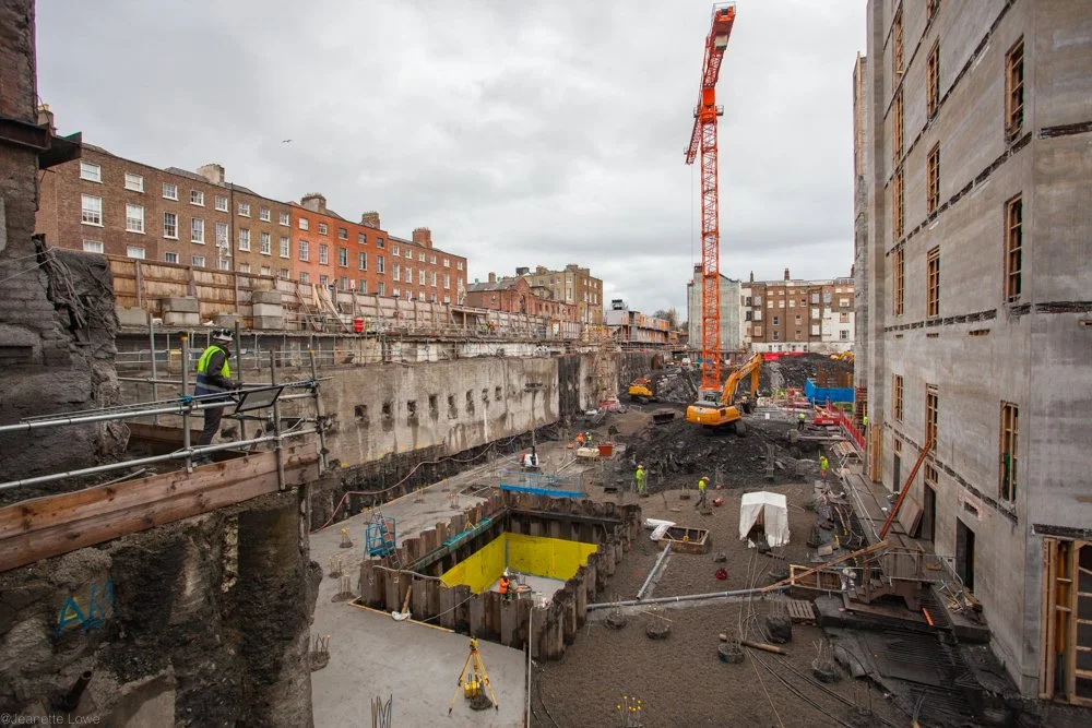 Jeanette Lowe ESB Fitzwilliam Project-6817.jpg