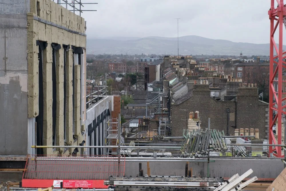 Jeanette Lowe ESB Fitzwilliam Project-1260722.jpg