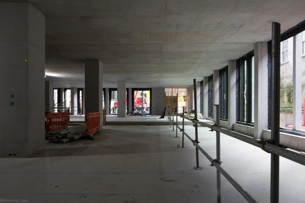 Jeanette Lowe ESB Fitzwilliam Project-0117.jpg