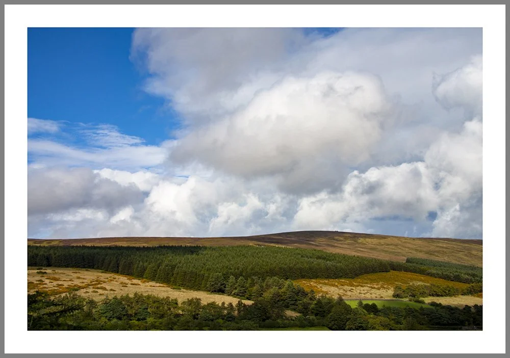 Dublin Mountains 2008_9663frame.jpg