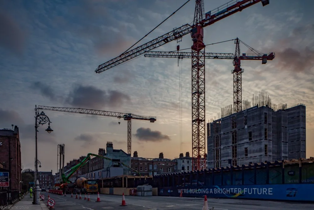 Jeanette Lowe ESB Fitzwilliam Project--11.jpg