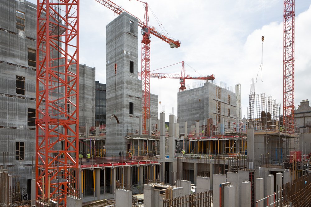 Jeanette Lowe ESB Fitzwilliam Project-6964.jpg