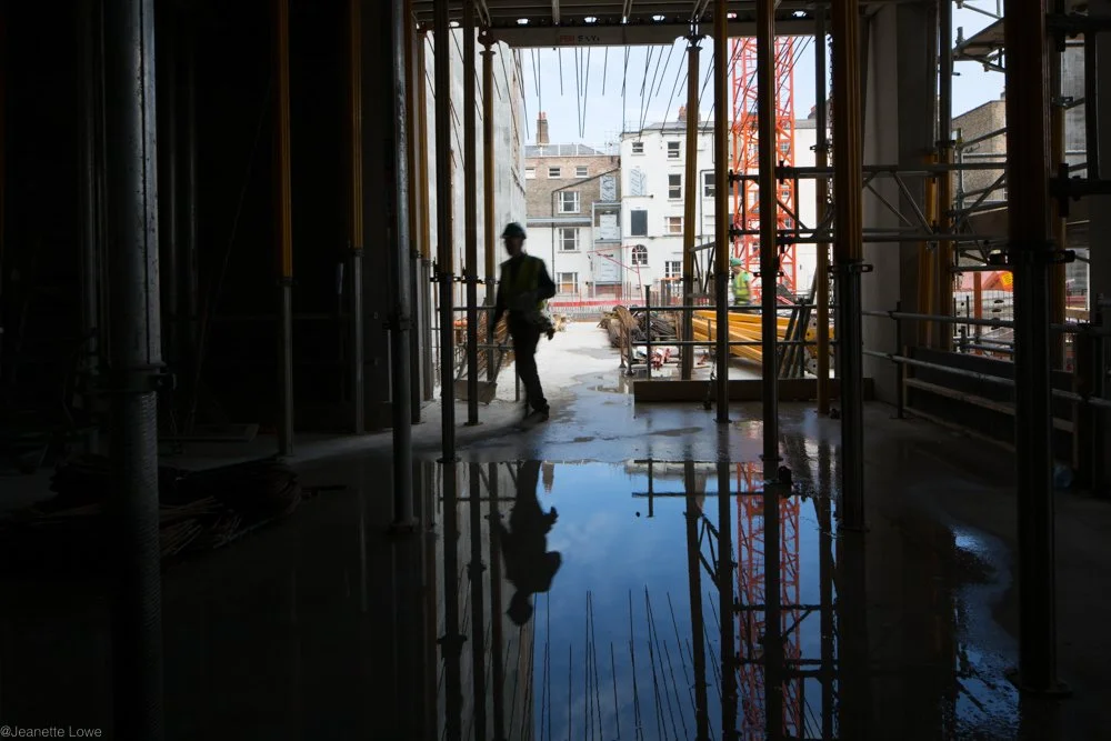 Jeanette Lowe ESB Fitzwilliam Project-0265.jpg