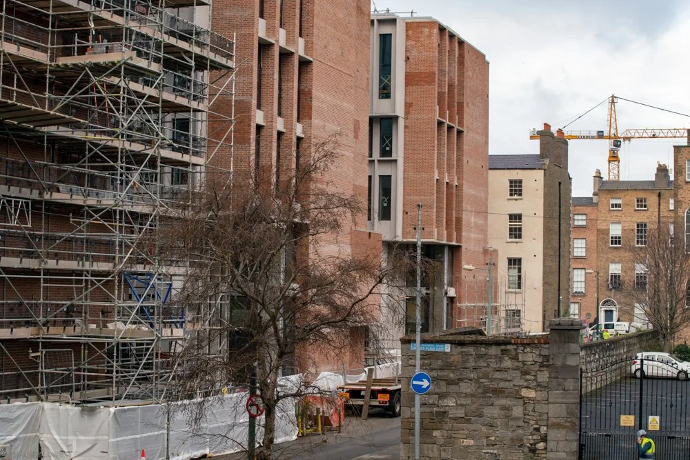 Jeanette Lowe ESB Fitzwilliam Project-01666.jpg