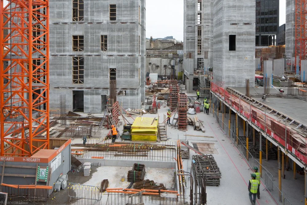 Jeanette Lowe ESB Fitzwilliam Project-7916.jpg