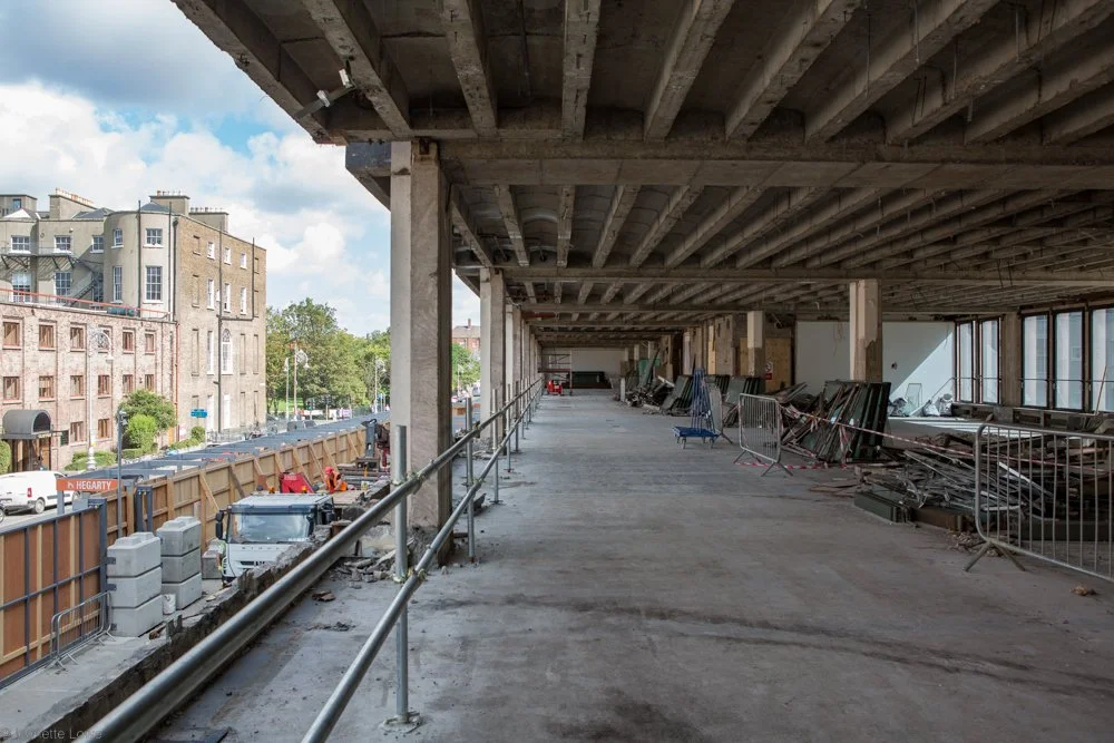 Jeanette Lowe ESB Fitzwilliam Project-5566.jpg